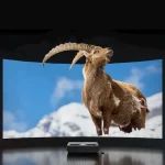 4k 6