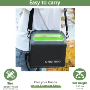 GRUNDIG 300W